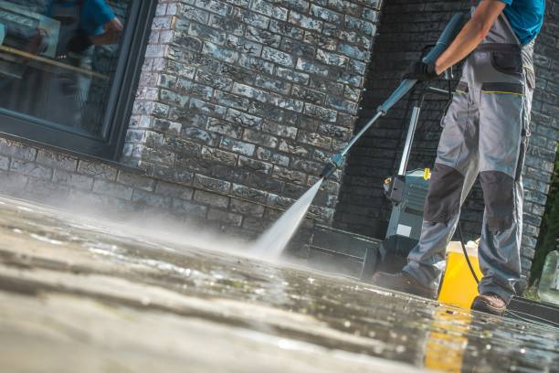 Best Roof Washing  in Williamsport, MD